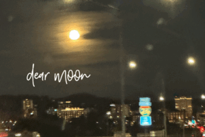 dear moon